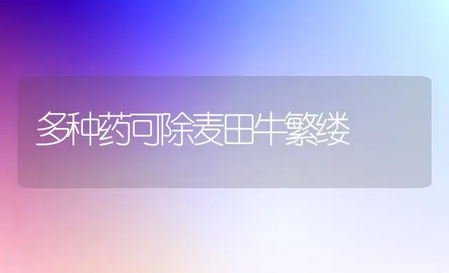 多种药可除麦田牛繁缕 | 养殖技术大全