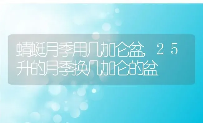 蜻蜓月季用几加仑盆,25升的月季换几加仑的盆 | 养殖学堂