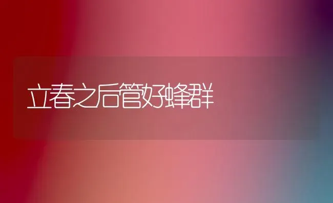 立春之后管好蜂群 | 养殖知识