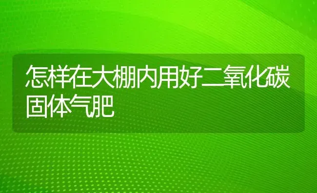 怎样在大棚内用好二氧化碳固体气肥 | 养殖技术大全