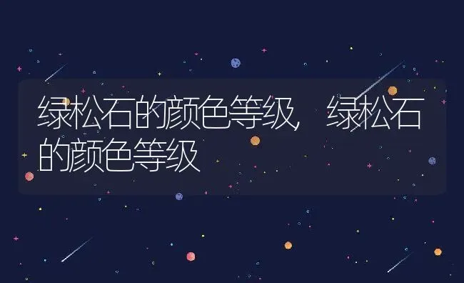 绿松石的颜色等级,绿松石的颜色等级 | 养殖科普