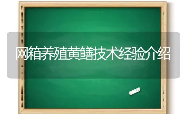 网箱养殖黄鳝技术经验介绍 | 养殖知识