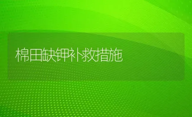 棉田缺钾补救措施 | 养殖知识