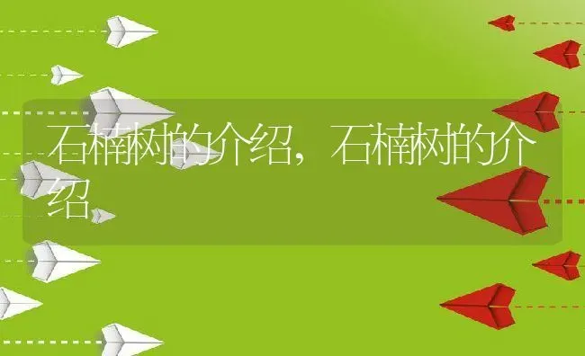 石楠树的介绍,石楠树的介绍 | 养殖科普