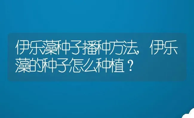 伊乐藻种子播种方法,伊乐藻的种子怎么种植？ | 养殖科普