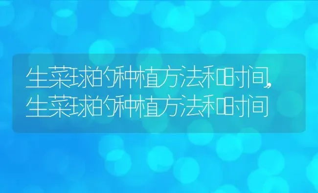 生菜球的种植方法和时间,生菜球的种植方法和时间 | 养殖科普