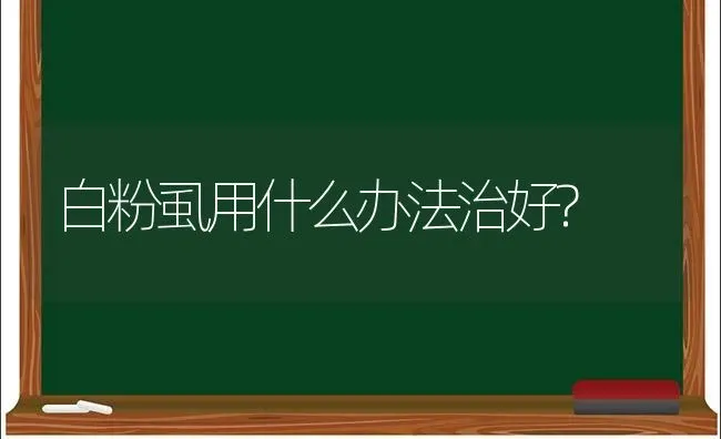 白粉虱用什么办法治好? | 养殖知识