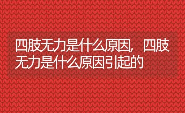 四肢无力是什么原因,四肢无力是什么原因引起的 | 养殖科普