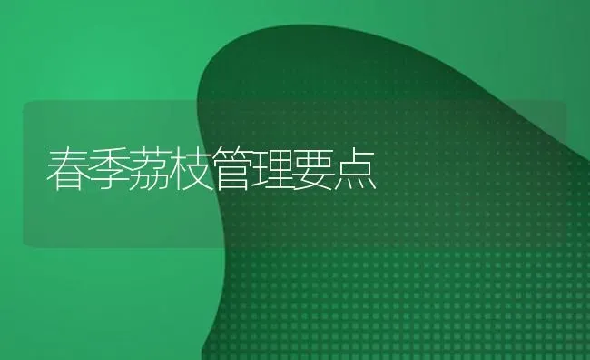 春季荔枝管理要点 | 养殖知识