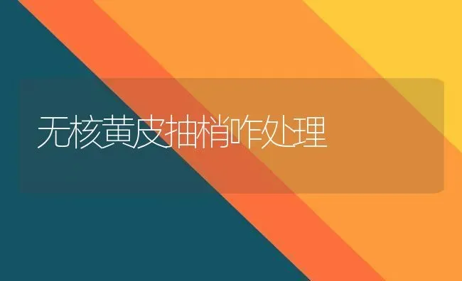 无核黄皮抽梢咋处理 | 养殖知识