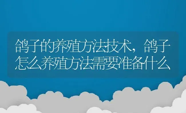 鸽子的养殖方法技术,鸽子怎么养殖方法需要准备什么 | 养殖学堂