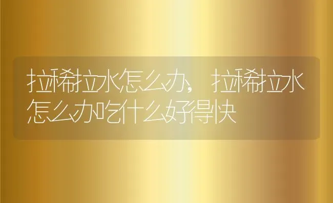 养金毛的十大坏处,养金毛的十大坏处有哪些? | 养殖资料