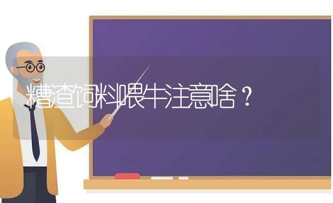 治疗新城疫就用新必妥 | 养殖知识