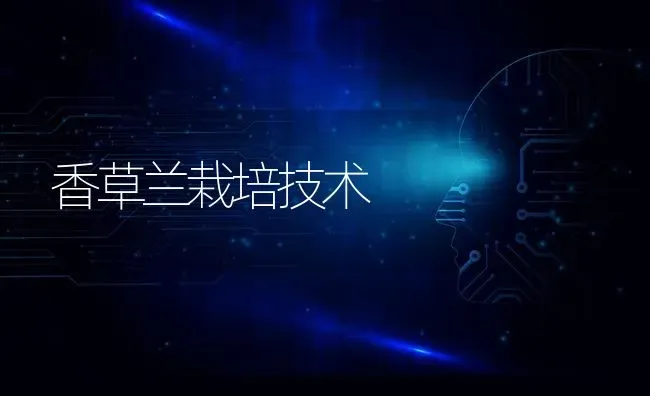 香草兰栽培技术 | 养殖技术大全
