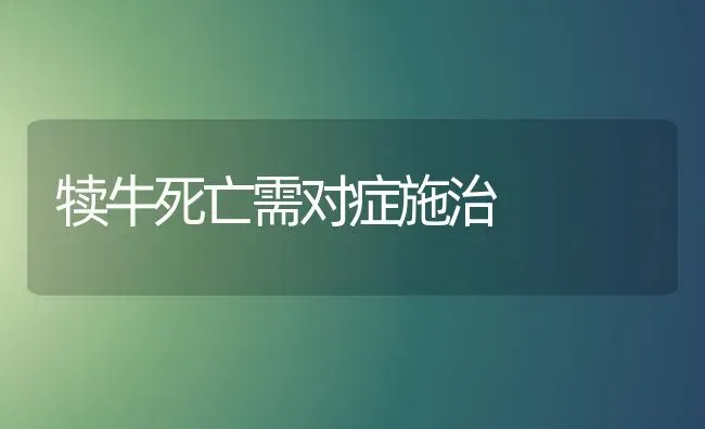 犊牛死亡需对症施治 | 养殖知识