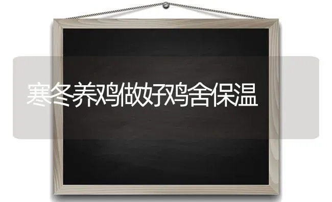 麦田土壤干旱不利于病害侵染 | 养殖知识