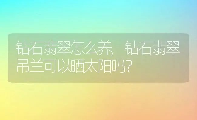 钻石翡翠怎么养,钻石翡翠吊兰可以晒太阳吗？ | 养殖科普