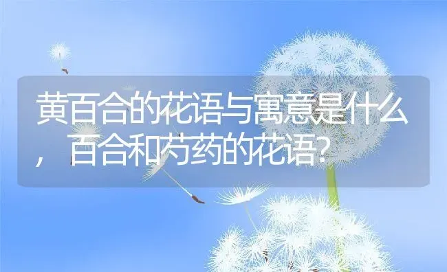 黄百合的花语与寓意是什么,百合和芍药的花语？ | 养殖学堂