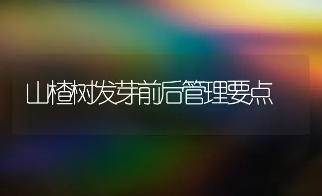 山楂树发芽前后管理要点 | 养殖技术大全