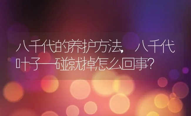 八千代的养护方法,八千代叶子一碰就掉怎么回事？ | 养殖科普