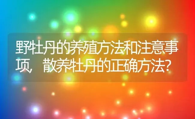 野牡丹的养殖方法和注意事项,散养牡丹的正确方法？ | 养殖科普