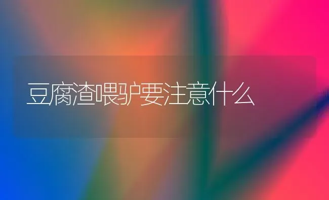 豆腐渣喂驴要注意什么 | 养殖技术大全