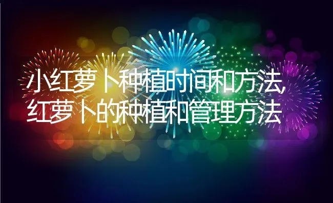 小红萝卜种植时间和方法,红萝卜的种植和管理方法 | 养殖学堂