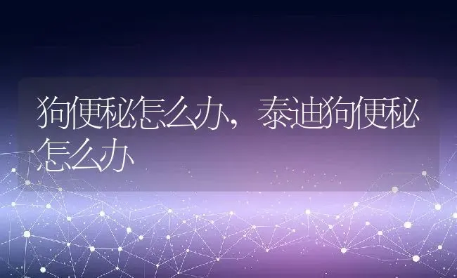 狗便秘怎么办,泰迪狗便秘怎么办 | 养殖科普