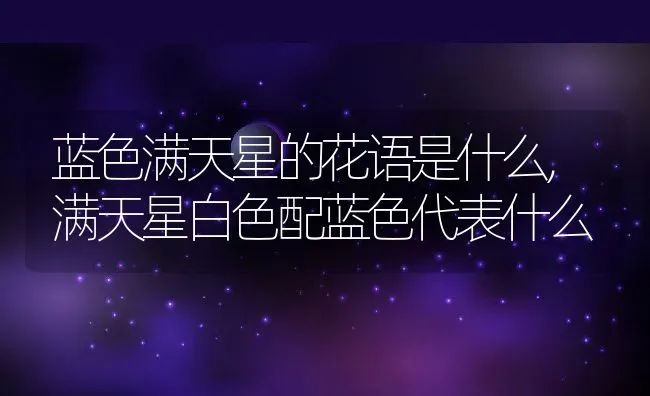 蓝色满天星的花语是什么,满天星白色配蓝色代表什么 | 养殖学堂