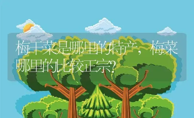 梅干菜是哪里的特产,梅菜哪里的比较正宗？ | 养殖科普