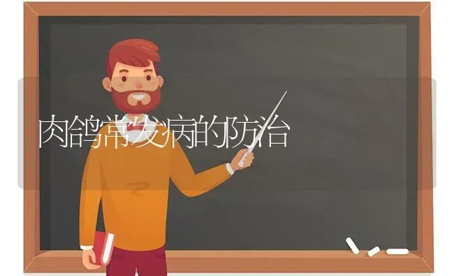 肉鸽常发病的防治 | 养殖技术大全