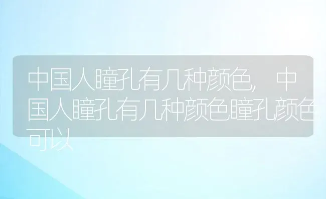 中国人瞳孔有几种颜色,中国人瞳孔有几种颜色瞳孔颜色可以 | 养殖资料