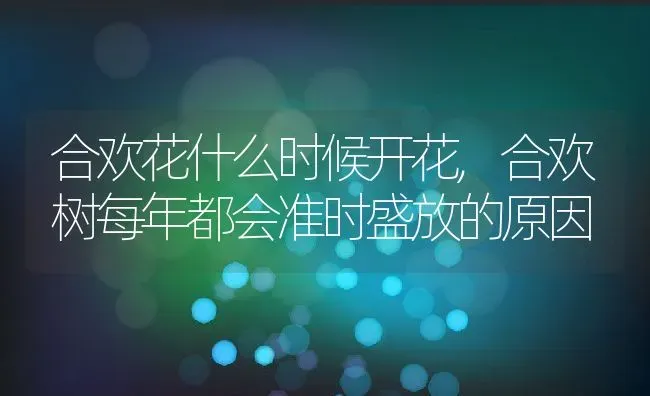 合欢花什么时候开花,合欢树每年都会准时盛放的原因 | 养殖学堂