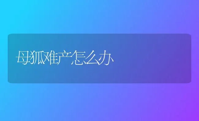 母狐难产怎么办 | 养殖技术大全
