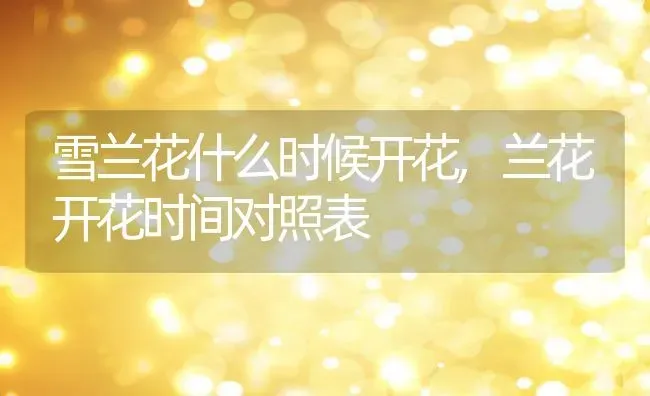 雪兰花什么时候开花,兰花开花时间对照表 | 养殖学堂