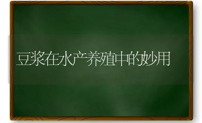 豆浆在水产养殖中的妙用 | 养殖技术大全