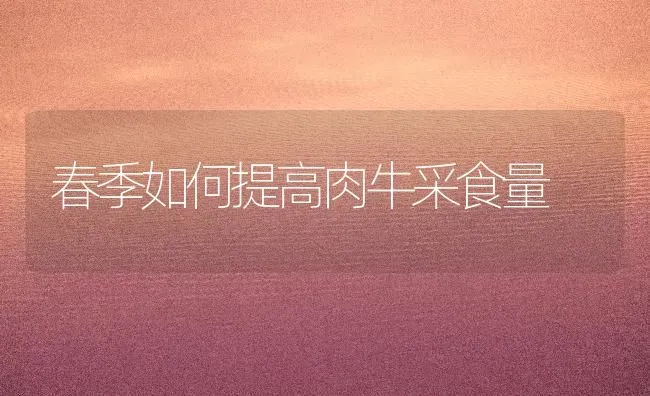 春季如何提高肉牛采食量 | 养殖技术大全