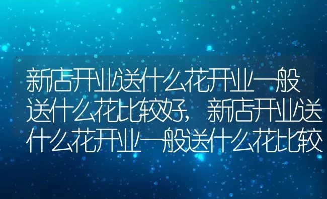 新店开业送什么花开业一般送什么花比较好,新店开业送什么花开业一般送什么花比较好 | 养殖科普