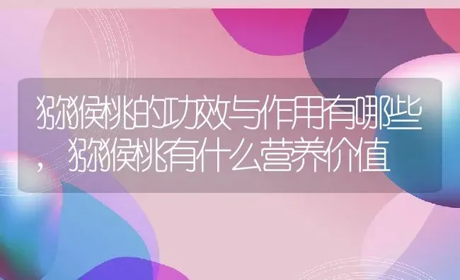 猕猴桃的功效与作用有哪些,猕猴桃有什么营养价值 | 养殖学堂