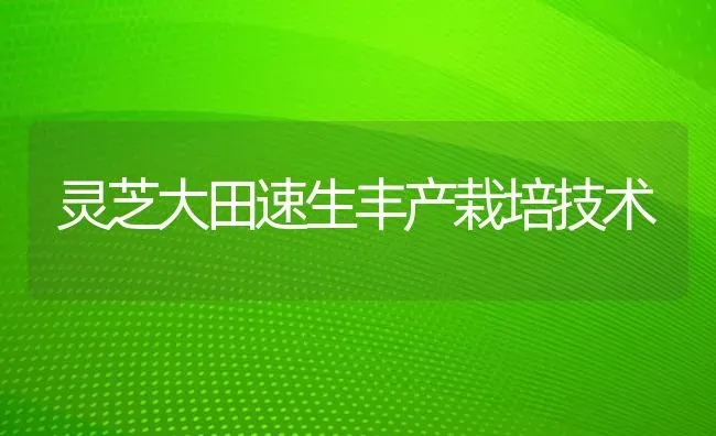 灵芝大田速生丰产栽培技术 | 养殖知识