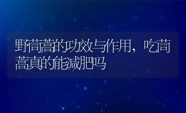 野茼蒿的功效与作用,吃茼蒿真的能减肥吗 | 养殖学堂