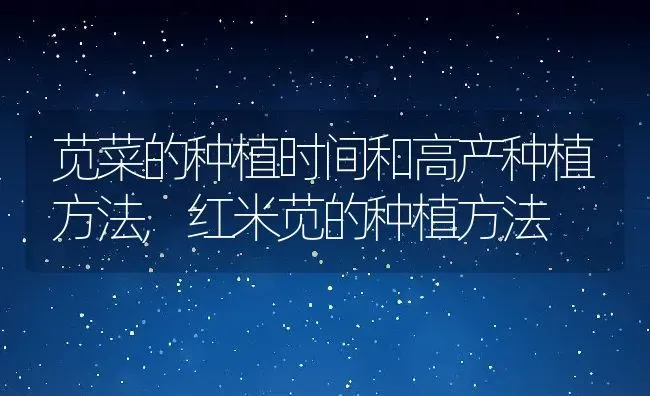 苋菜的种植时间和高产种植方法,红米苋的种植方法 | 养殖学堂