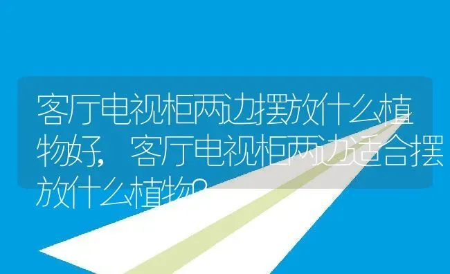 客厅电视柜两边摆放什么植物好,客厅电视柜两边适合摆放什么植物？ | 养殖学堂