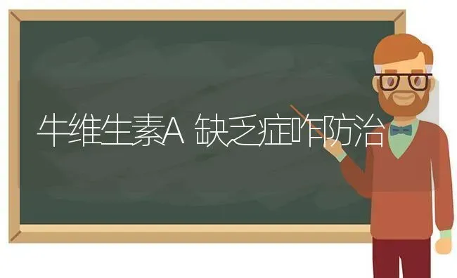 牛维生素A缺乏症咋防治 | 养殖技术大全