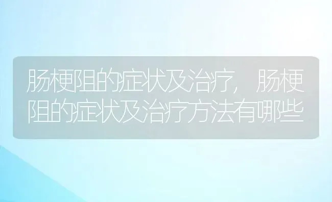 肠梗阻的症状及治疗,肠梗阻的症状及治疗方法有哪些 | 养殖科普