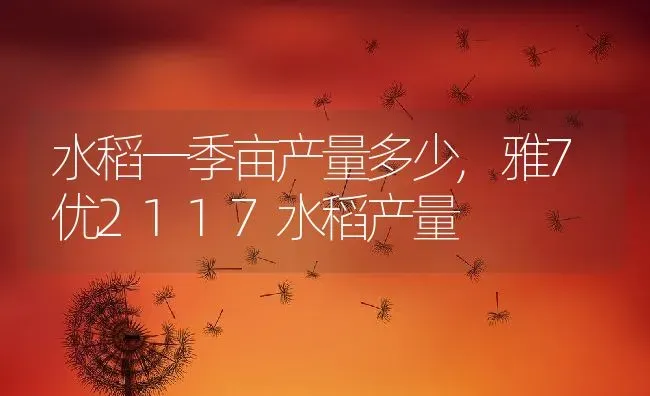 水稻一季亩产量多少,雅7优2117水稻产量 | 养殖学堂