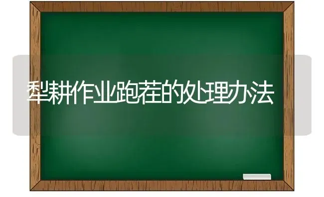 犁耕作业跑茬的处理办法 | 养殖知识