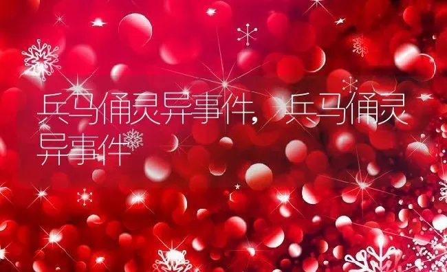 兵马俑灵异事件,兵马俑灵异事件 | 养殖科普
