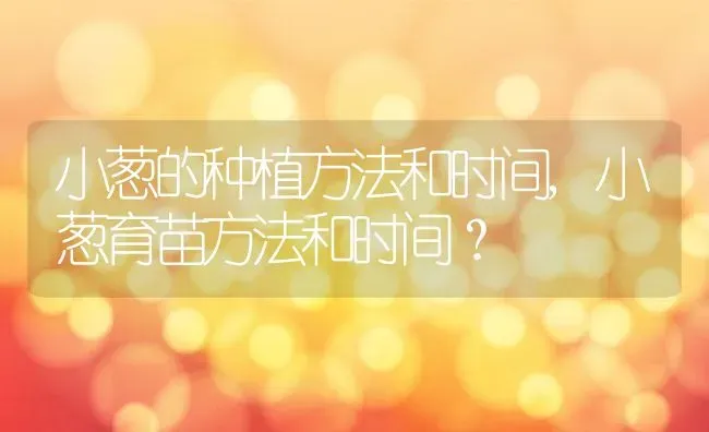 小葱的种植方法和时间,小葱育苗方法和时间？ | 养殖科普