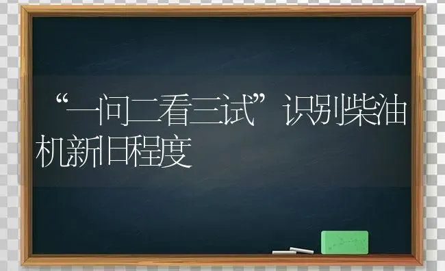 “一问二看三试”识别柴油机新旧程度 | 养殖技术大全